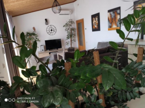 Apartment Burich
